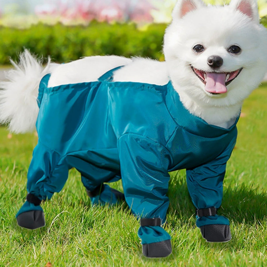 Dog Pants - Slippable Proof for Potty Training