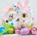 Easter Pet Costume - Pet Easter Outfit Small Dog Costume