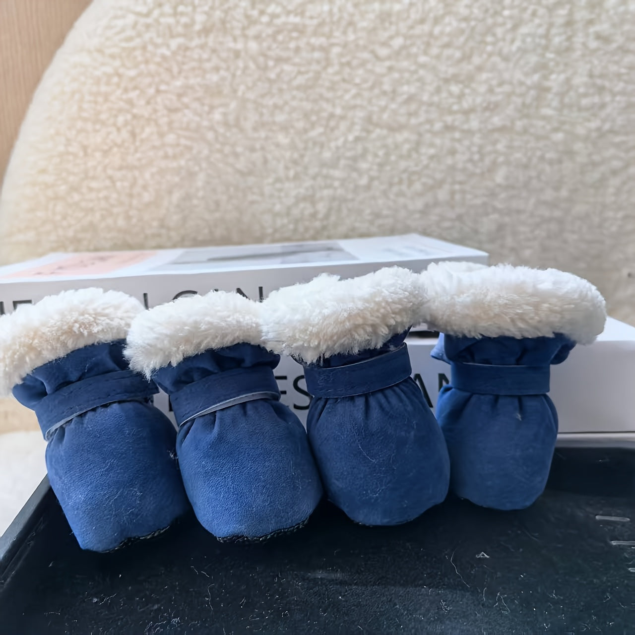 Dog Winterlo Raphael-built Raphael Raphael-built Raphael Raphael-bu...