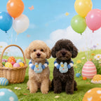 Easter Dog Bowtie - Rabbit Themed SML Dog Accessory