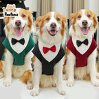 Dog Costume - Elegant Winter Outfit for Large Dogs