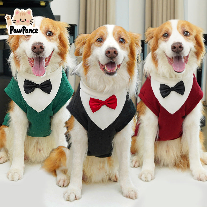 Dog Costume - Elegant Winter Outfit for Large Dogs