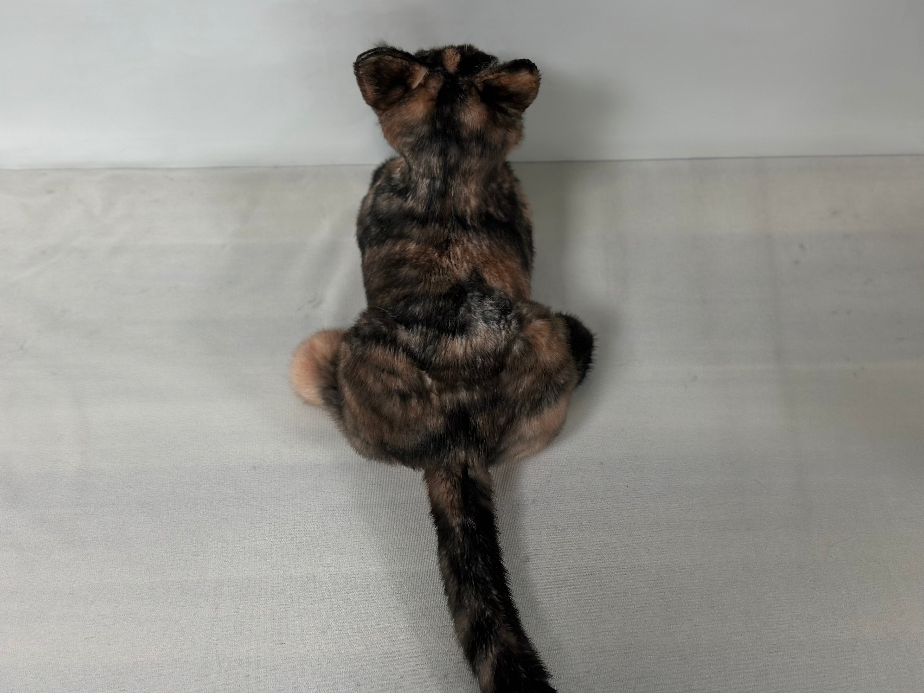 Plush Tortoiseshell Cat Shorthair Order to Make