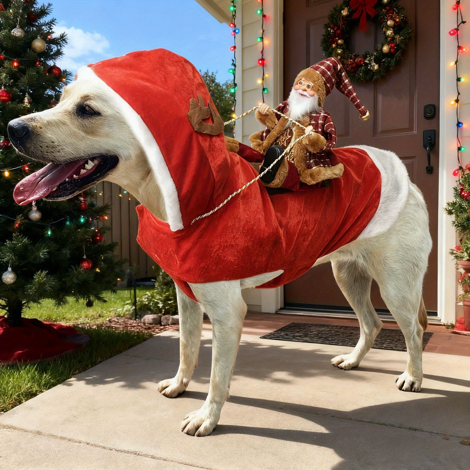 Dog Costume - Polyester Festive Outfit S/M/L