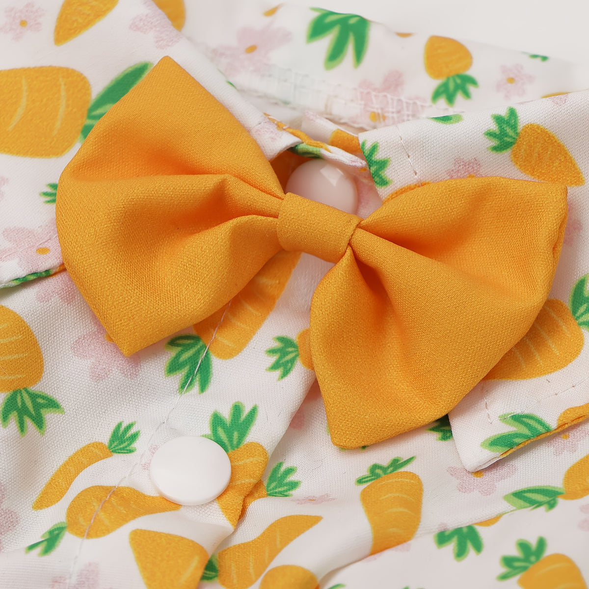 Easter Pet Shirt - Carrot Print Dog & Cat