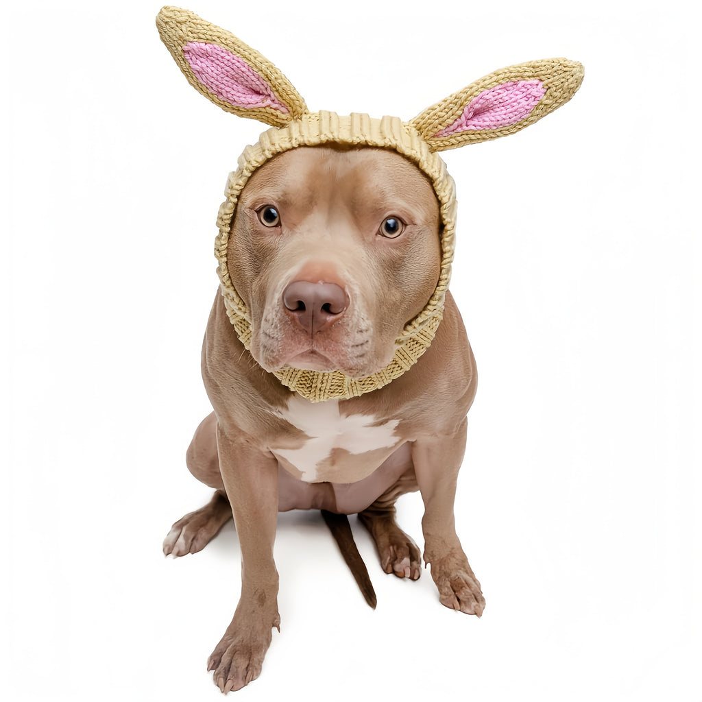 Easter Pet Costumes - Bunny Hats for Cats Dogs