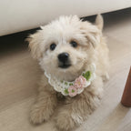Pet Bandana - Easter Pet Accessories Cat Bandana