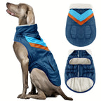 Winter Dog Coat - Heavy-Duty Soft Shell Jacket