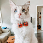 Adjustable Bow Tie Cat Collar – Stylish & Comfortable Breakaway Design