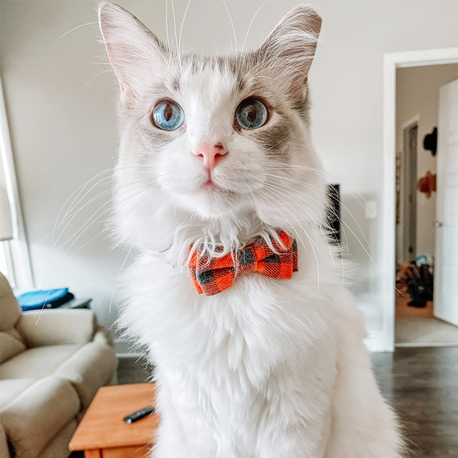Adjustable Bow Tie Cat Collar – Stylish & Comfortable Breakaway Design