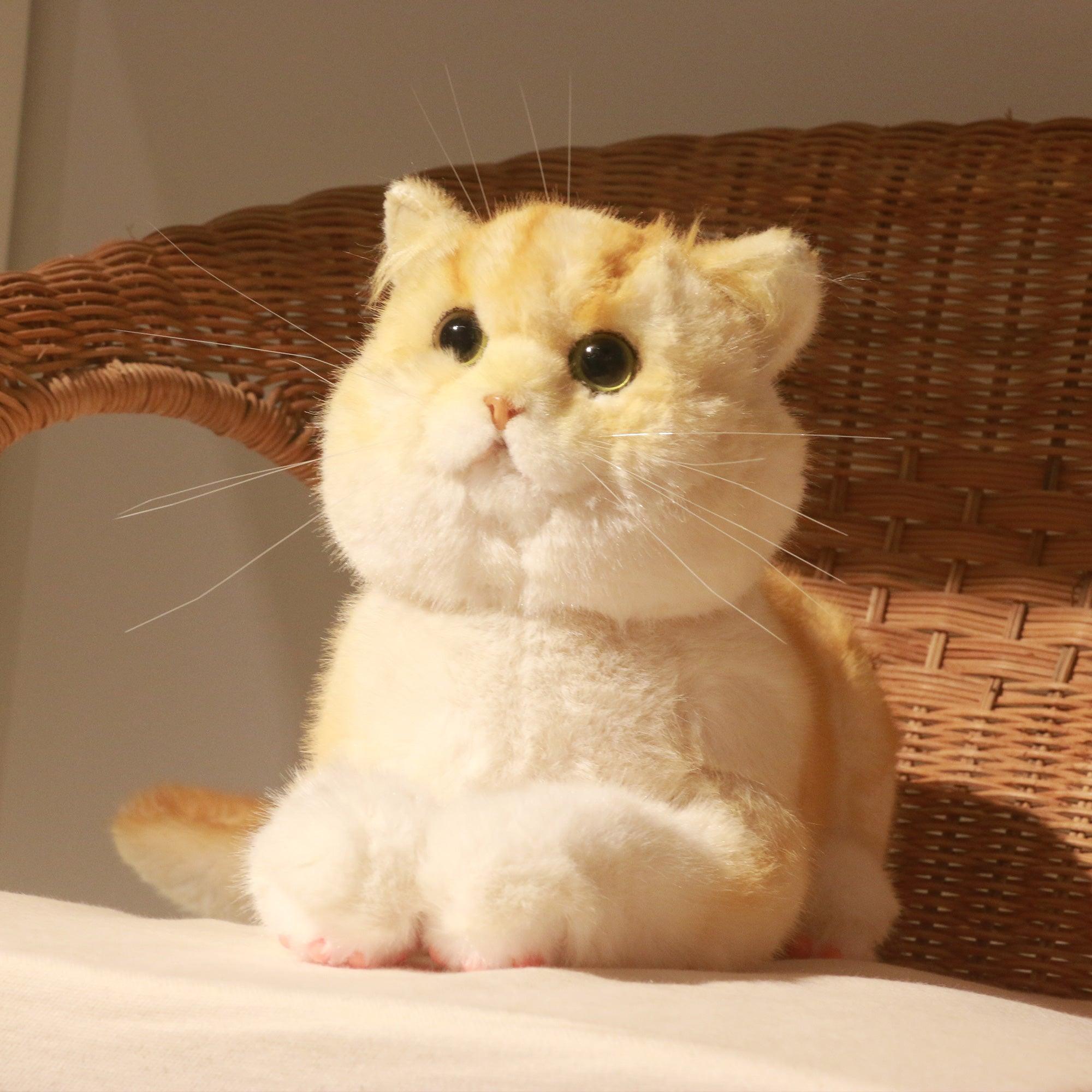 Golden Brtitish Short Hair Cat Plush – Weighted Emotional Support Toy Gift