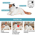 Breathing Calico Percy 2.0- Heartbeat Pur,Voice Robonic Cat
