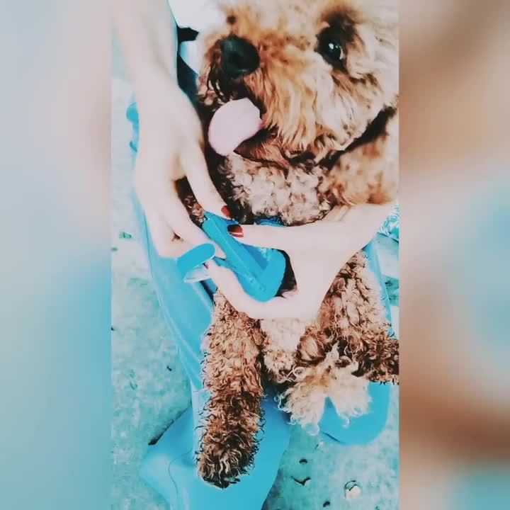 Kann Memor Strauss flushastespee Connectivity Widrtloran flushrtlas...