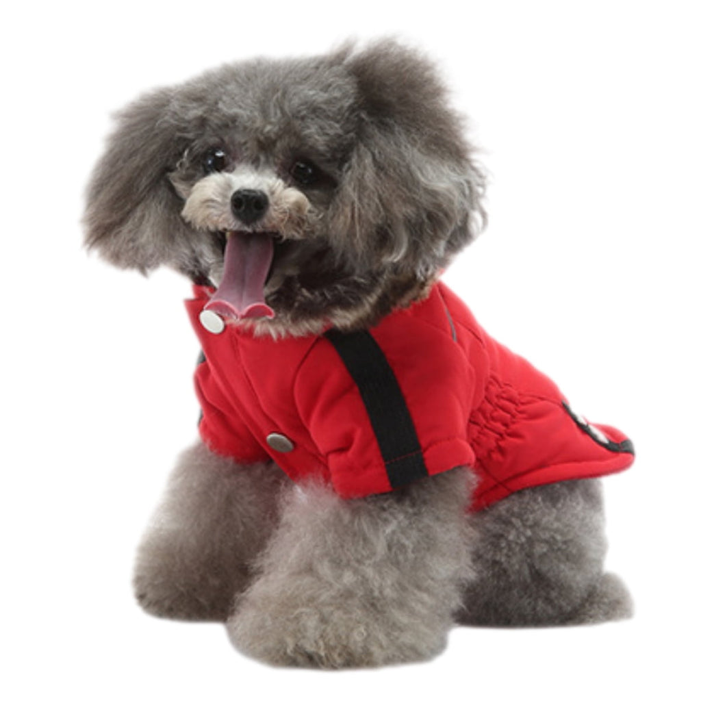 Dog Winter Coat - Warm Windproof Small Dog Jacket