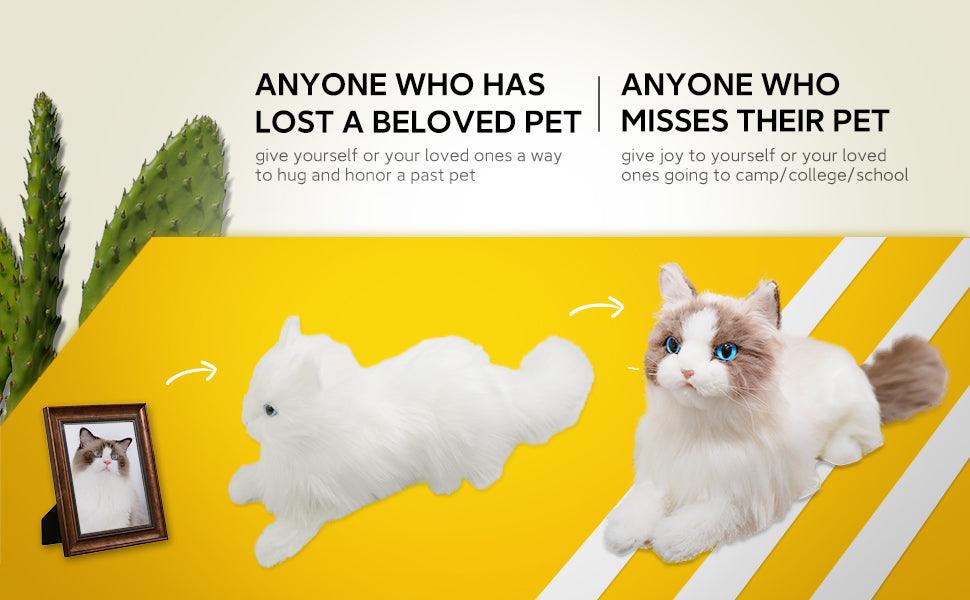 Basic Custom Cat Plush – Personalized Pet Unique Gift Idea