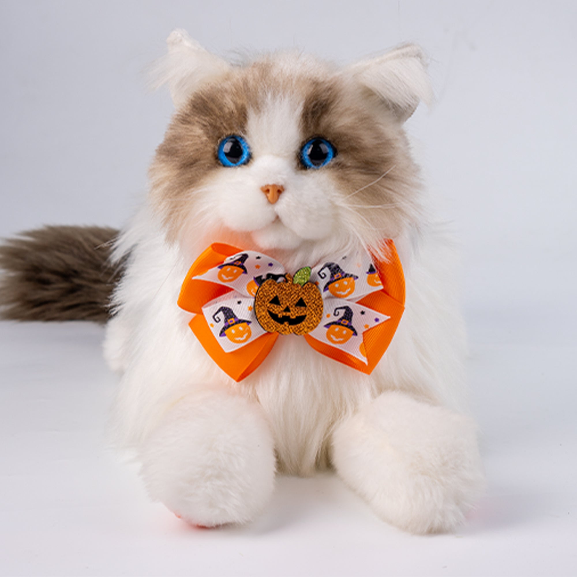 Pumpkin Collar for Cat Dog & Pet