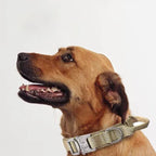 Durable Nylon Dog Collar & Reflective Leash Set – Tactical Training