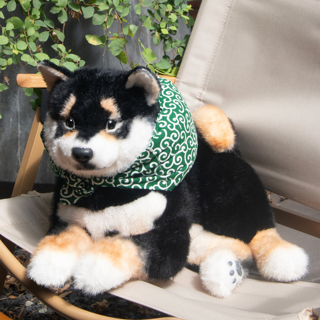 Black Shiba Inu Dog