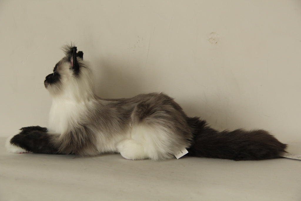 Siamese Cat Longhair MADE-TO-ORDER