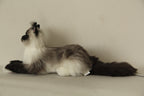 Siamese Cat Longhair MADE-TO-ORDER