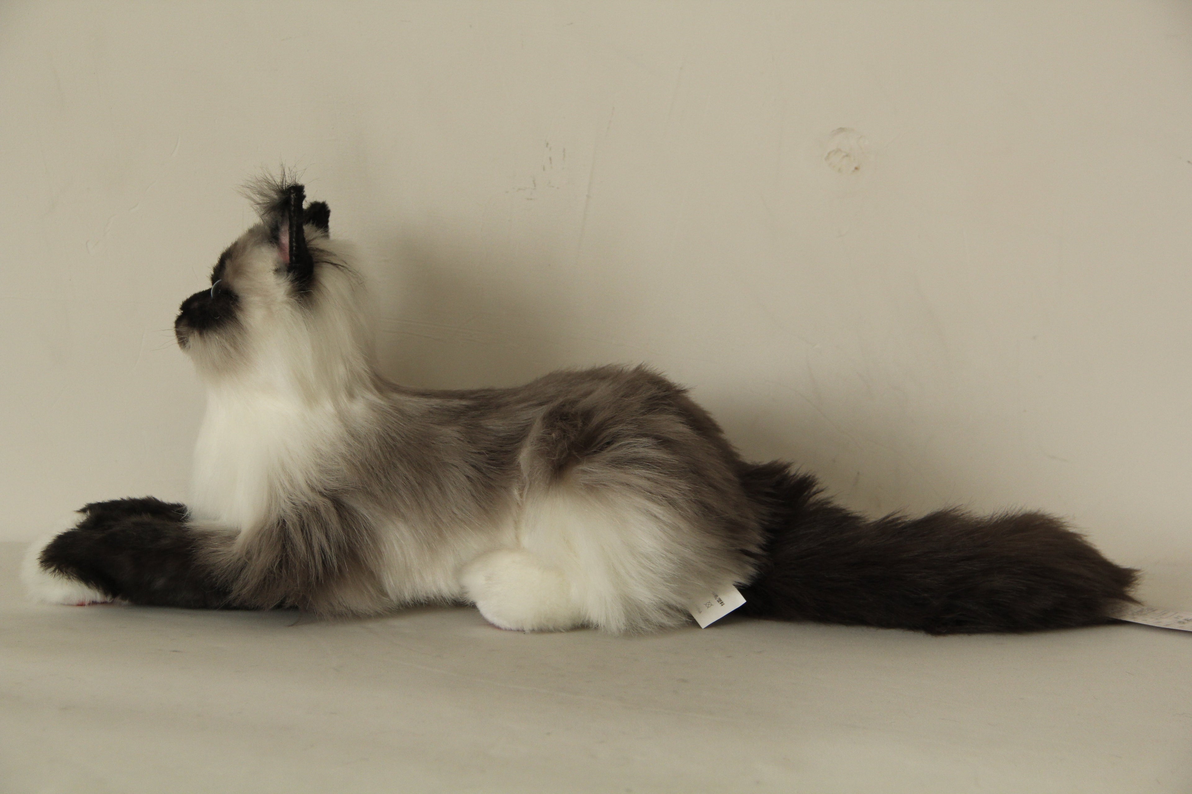 Siamese Cat Longhair MADE-TO-ORDER