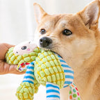 Dental Chew Toy with Squeaker for Pets