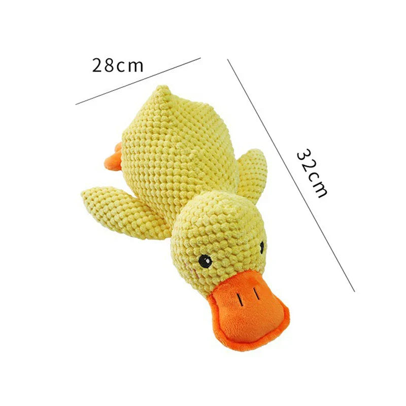 Squeaky Dog Toy – Durable Chew & Molar Toy for Small & Large Dogs