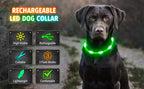 USB Rechargeable LED Glowing Dog Collar – Adjustable Night Safety