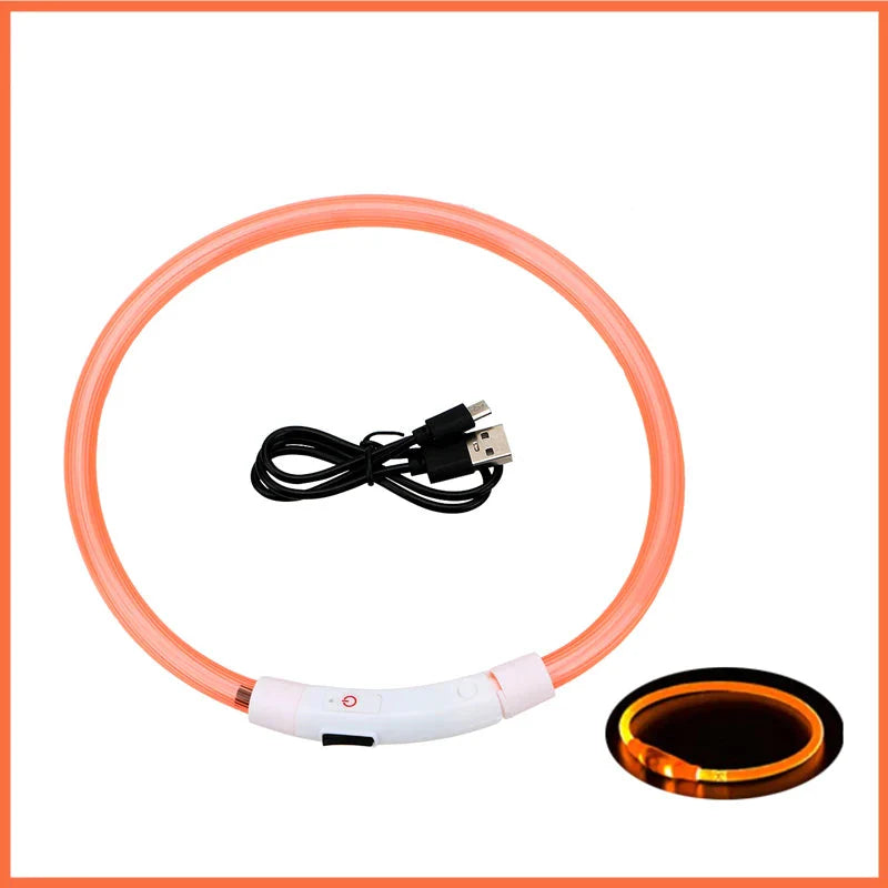 USB Rechargeable LED Glowing Dog Collar – Adjustable Night Safety