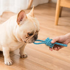 Interactive Cotton Rope Dog Toy – Mini Ball for Chewing & Cleaning