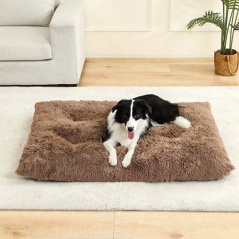 Plush Soft Dog & Cat Bed – Cozy Pet Sleeping Sofa
