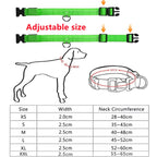 USB Rechargeable LED Glowing Dog Collar – Adjustable Night Safety