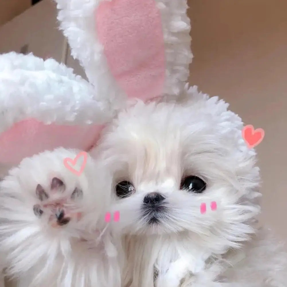 Cat Easter Costume - Cute Bunny Hat with Ears
