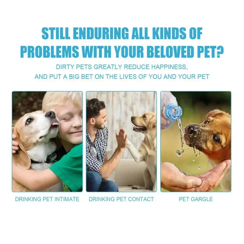 Soft Cat Toothbrush – Gentle Oral Care Brush for Pet Teeth Cleaning