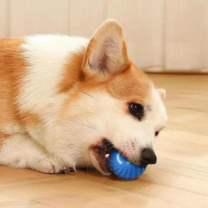 Smart Dog Toy Ball – USB Auto Bouncing Pet Toy for Dogs