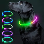 USB Rechargeable LED Glowing Dog Collar – Adjustable Night Safety