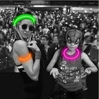 USB Rechargeable LED Glowing Dog Collar – Adjustable Night Safety