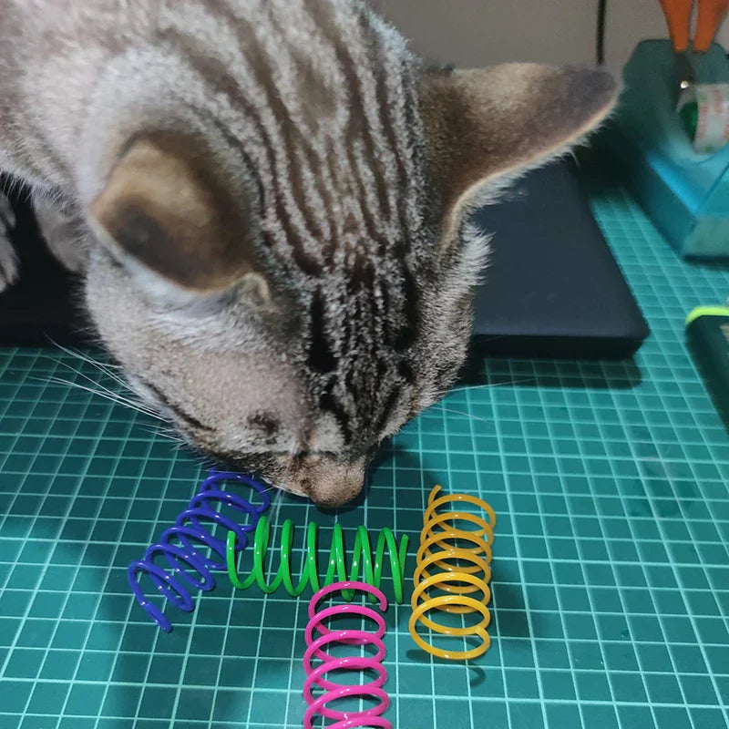 Colorful Cat Spring Toys – Durable Coil Play for Kittens
