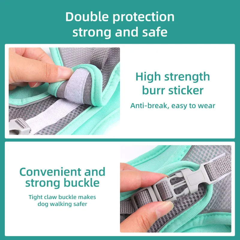 Adjustable Dog Harness & Leash Set for Small Dogs – Comfortable & Safe Walking Gear