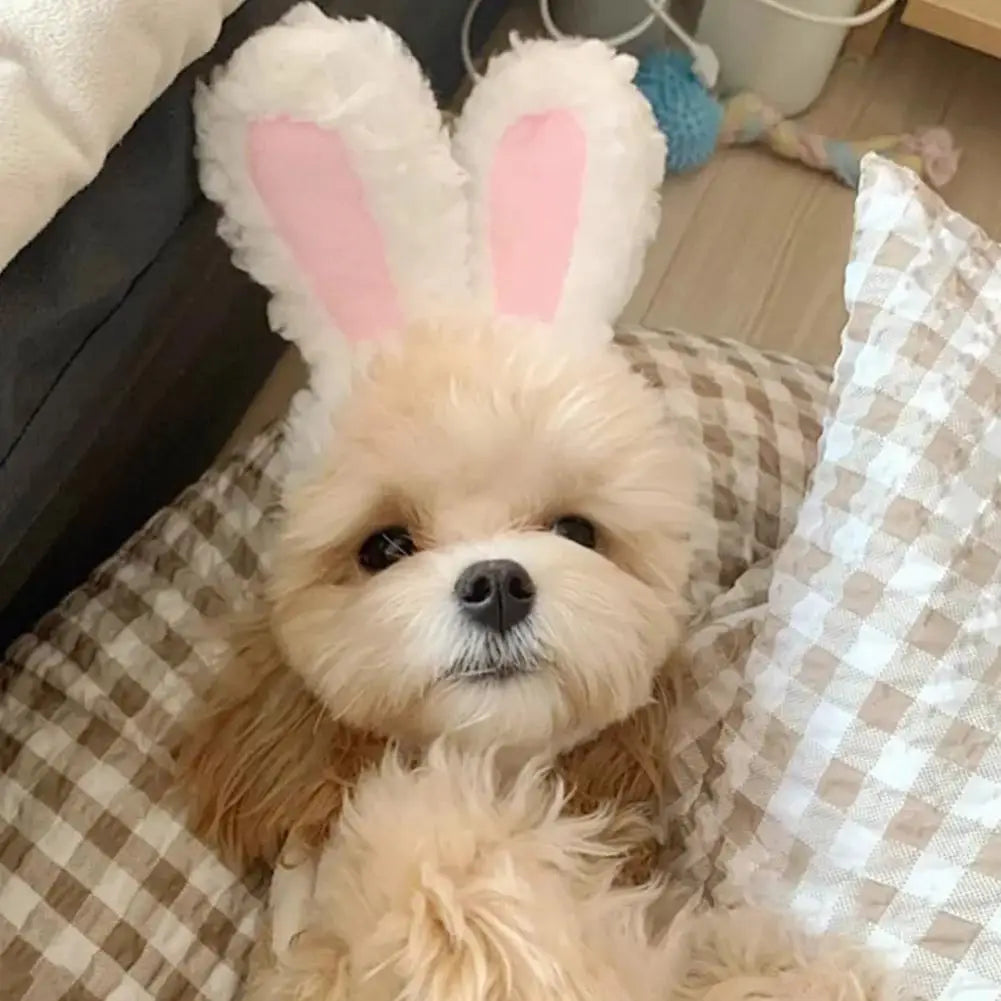 Cat Easter Costume - Cute Bunny Hat with Ears