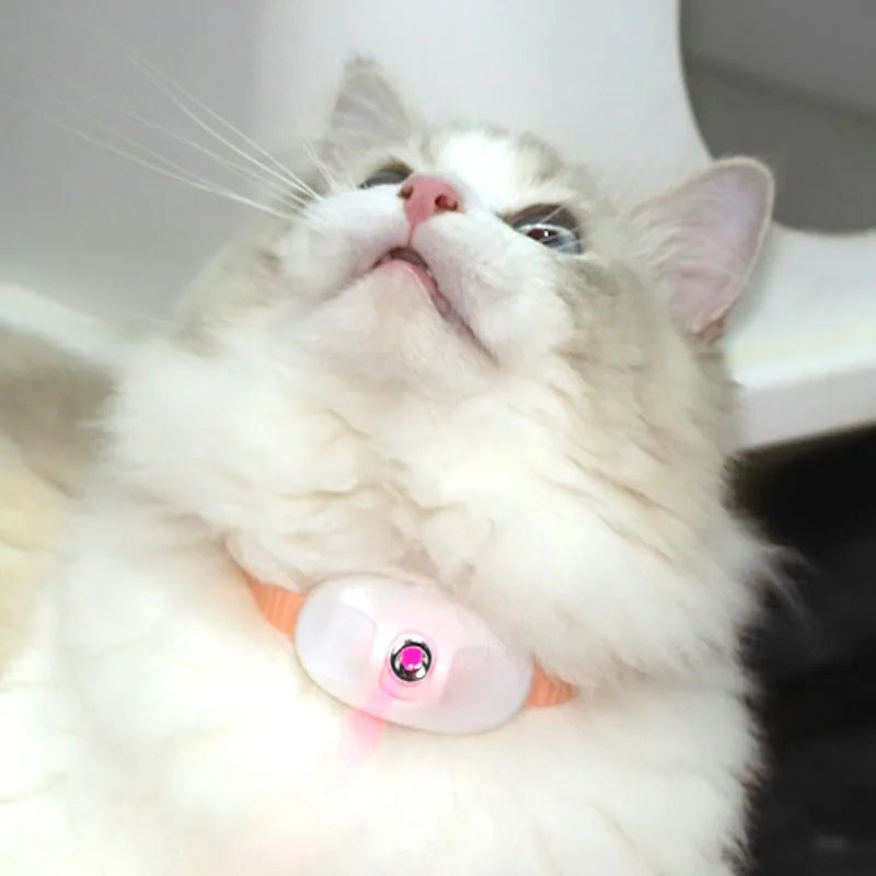 Smart Laser Cat Teaser Collar – Rechargeable Infrared Interactive Toy