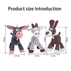 Squeaky Dog Toy – Durable Chew & Molar Toy for Small & Large Dogs