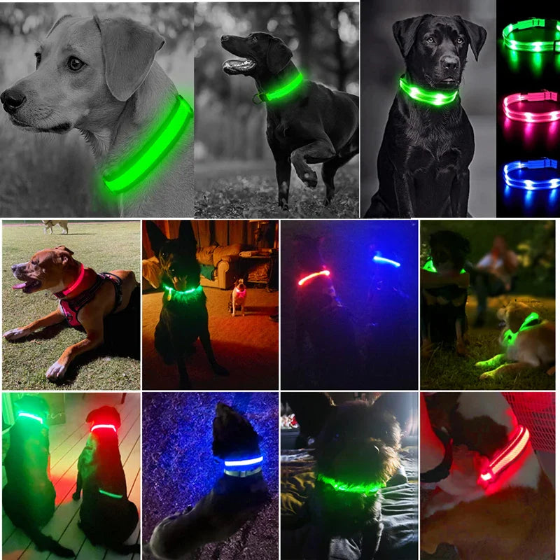 USB Rechargeable LED Glowing Dog Collar – Adjustable Night Safety