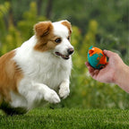 Easter Dog Toys - Durable Rubber Squeaky Chew Toys