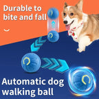 Smart Dog Toy Ball – USB Auto Bouncing Pet Toy for Dogs