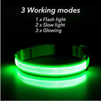 USB Rechargeable LED Glowing Dog Collar – Adjustable Night Safety