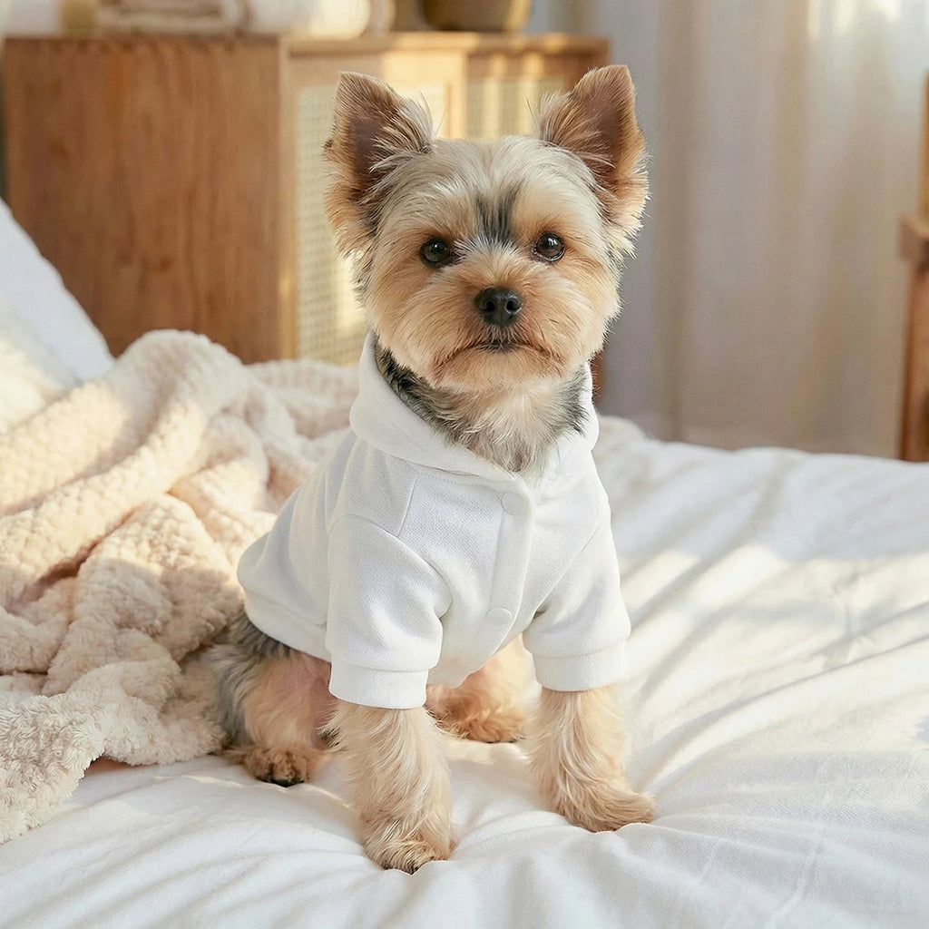 Easter Pet Hoodie - Spring Sweater with Traction Buckle