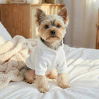 Easter Pet Hoodie - Spring Sweater with Traction Buckle