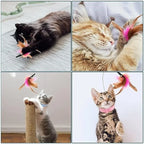 Adjustable Cat Collar Feather Teaser Toy with Bell