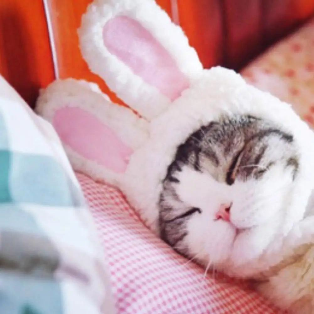 Cat Easter Costume - Cute Bunny Hat with Ears